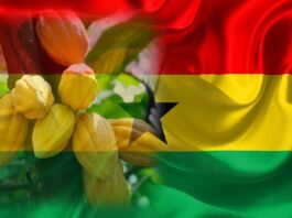 agriculture-in-ghana