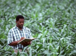 how to plan and start a farm, starting a farm