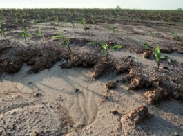 soil conservation