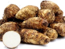 cocoyam roots nutrition facts