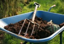 organic fertilizer
