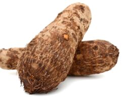 Improved-Cocoyam-Varieties-Released
