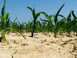 climate change in africa