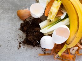 composting compost