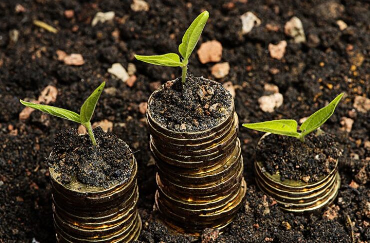 financial management in agribusiness