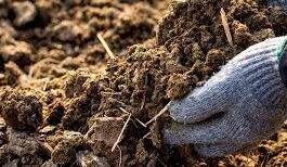 farmyard manure sustainable land management