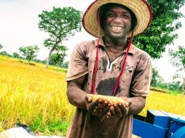 agriculture in ghana facts and figures 2018